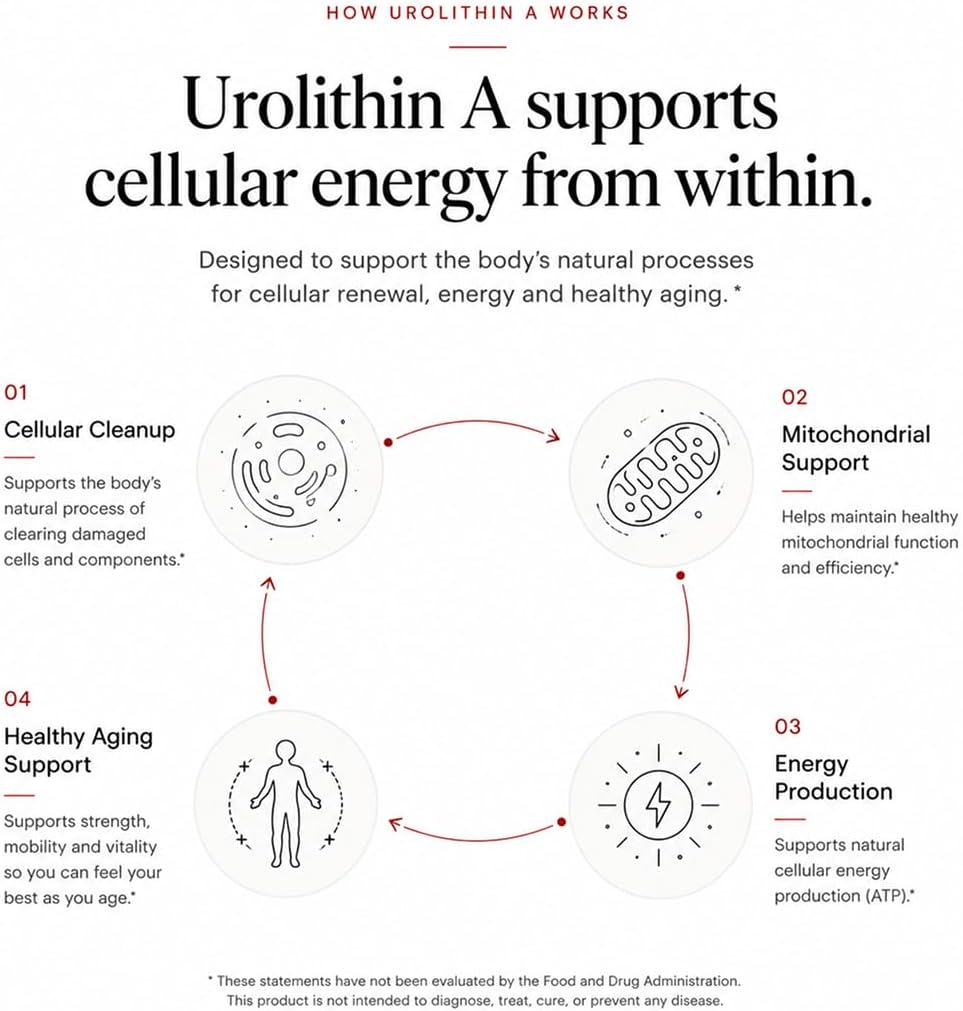 How it works infographic